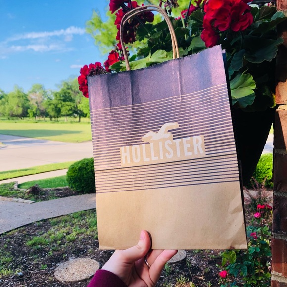 Aesthetic Hollister Shopping Bag - Picture 2 of 3